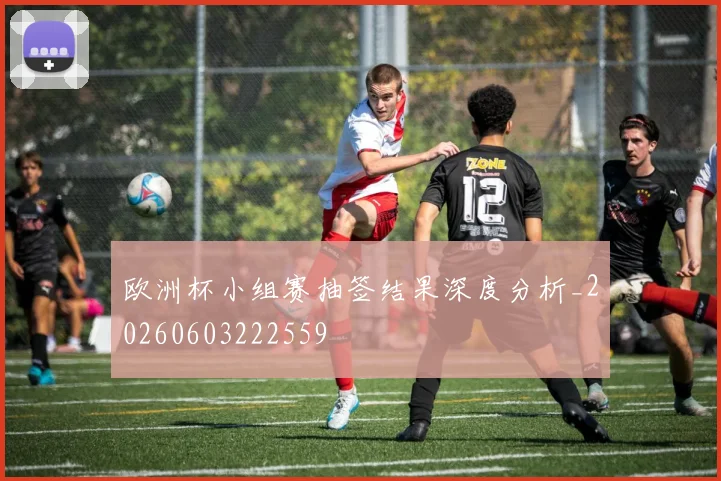 欧洲杯小组赛抽签结果深度分析_20260603222559